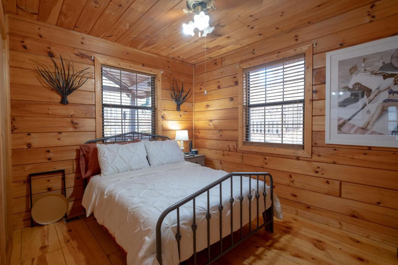 Willa Three Dog Night - Pet-Friendly Cabin With Hot Tub Blue Ridge Zewnętrze zdjęcie