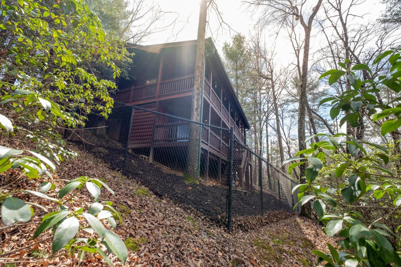 Willa Three Dog Night - Pet-Friendly Cabin With Hot Tub Blue Ridge Zewnętrze zdjęcie