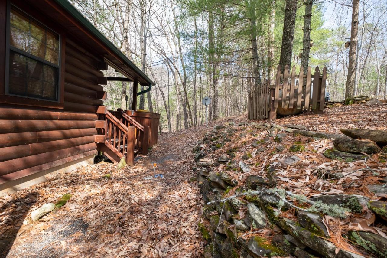 Willa Three Dog Night - Pet-Friendly Cabin With Hot Tub Blue Ridge Zewnętrze zdjęcie